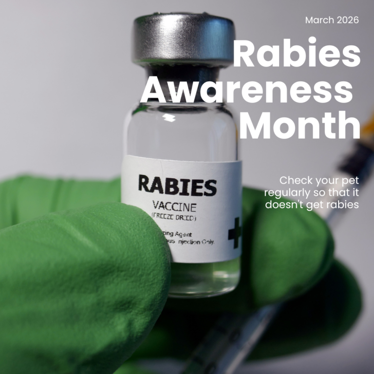 RABIES AWARENESS MONTH